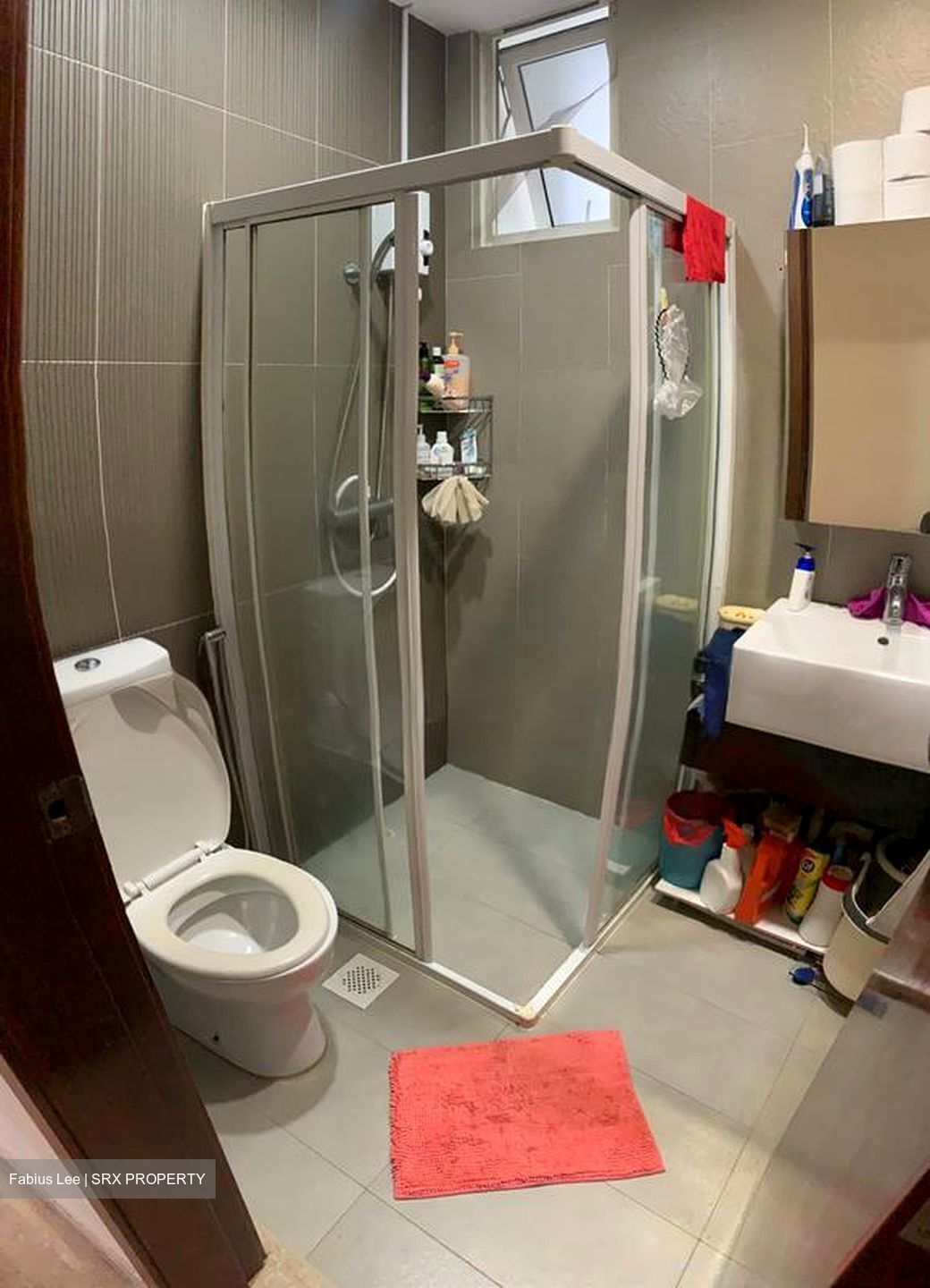Palm Vista (D15), Apartment #497023631